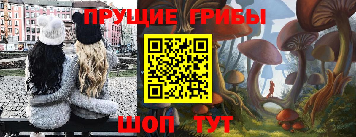 Галлюциногенные грибы Psilocybe  Псилоцибиновые грибы ЛСД  Вход с VPN  закладки  Ливны 